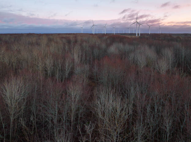Puhta energia nälg