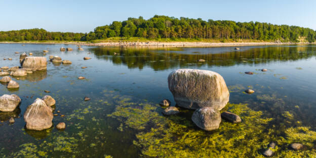 Palav õhtupoolik Vääna-Jõesuu rannas