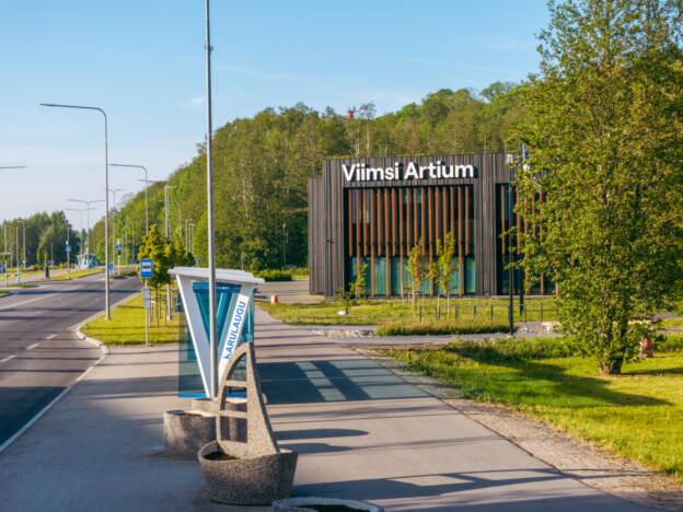 Viimsi Artium
