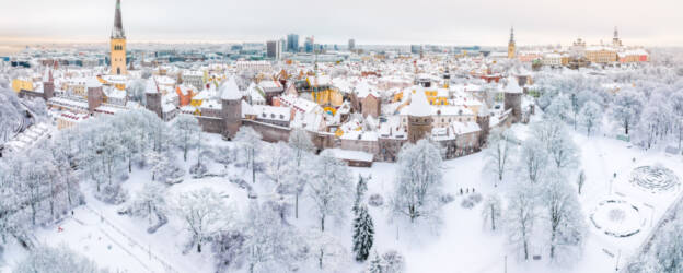 Winter Wonderland