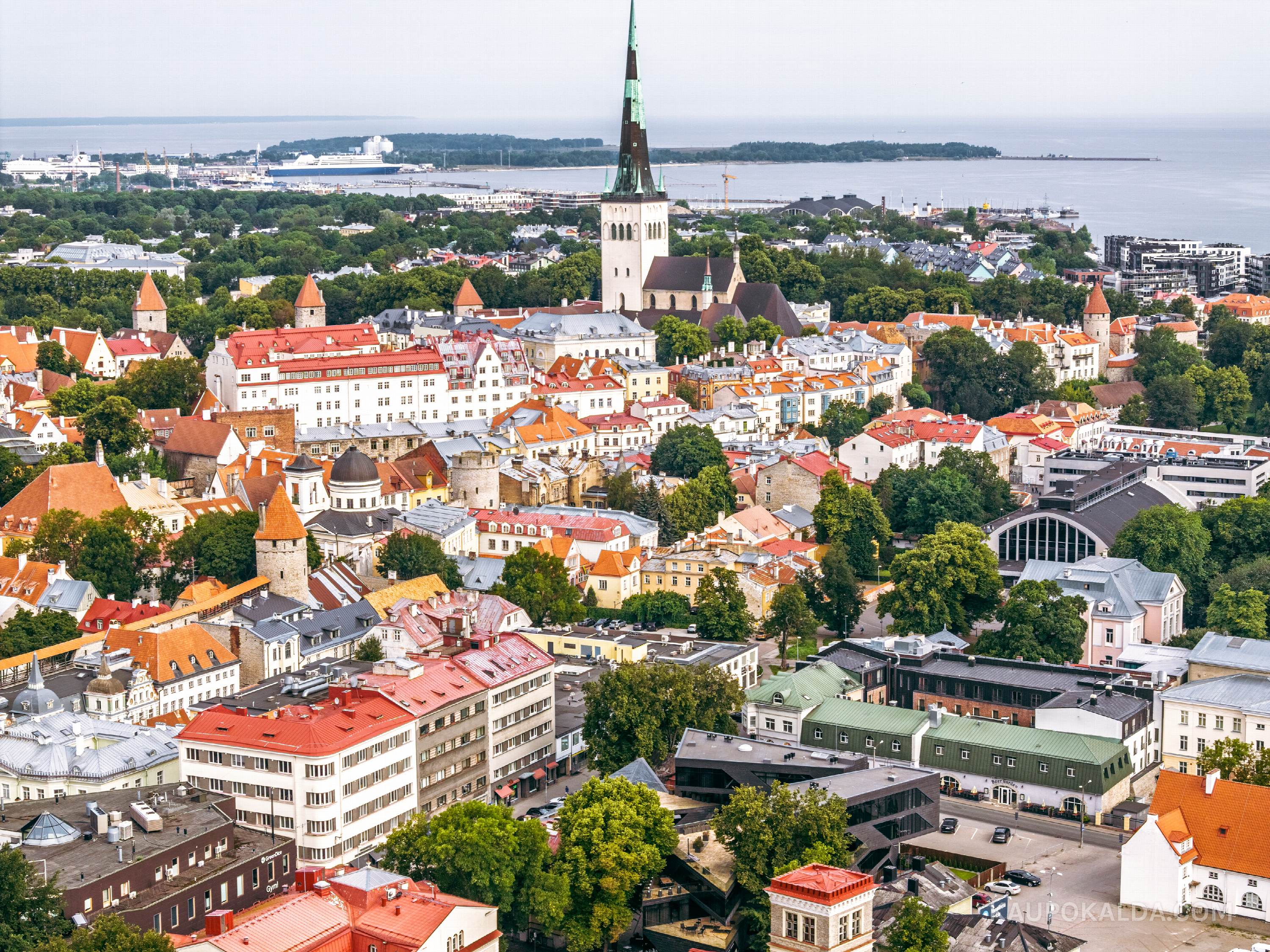 Ülevaade