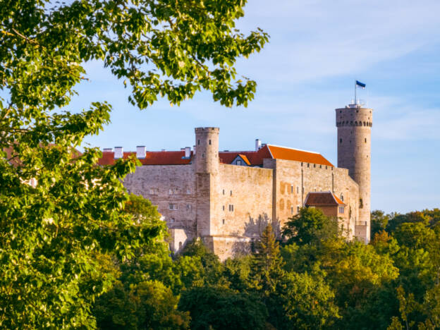 Toompea loss