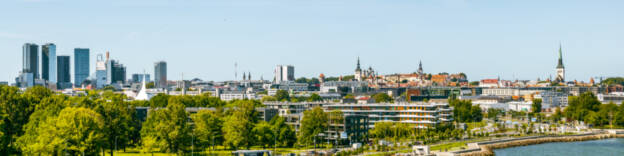 Kilukarbisiluett