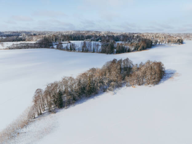 Talveunes Pühajärv