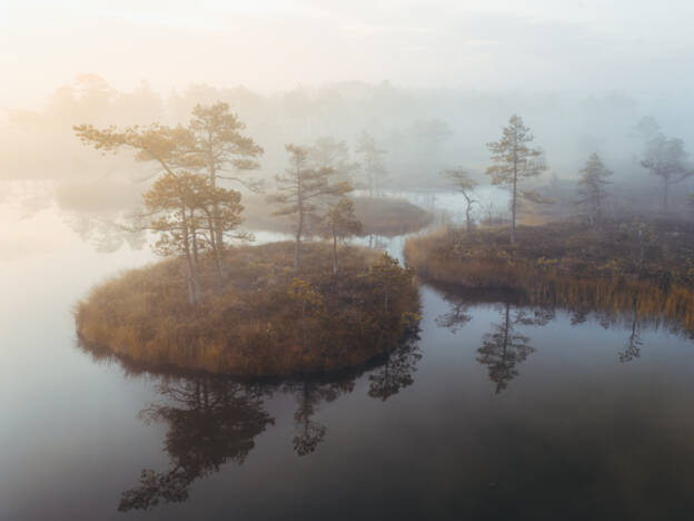 Udune päikesetõus Kakerdaja rabas
