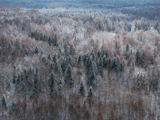 Talvevärvid