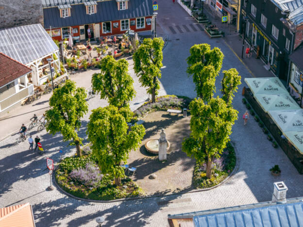 Haapsalu vaib