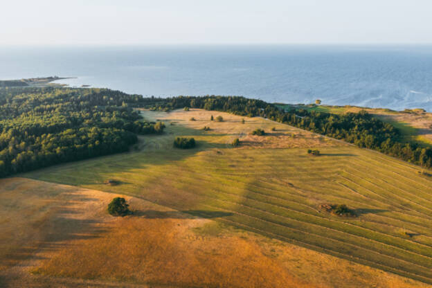 Kukka, Hiiumaa