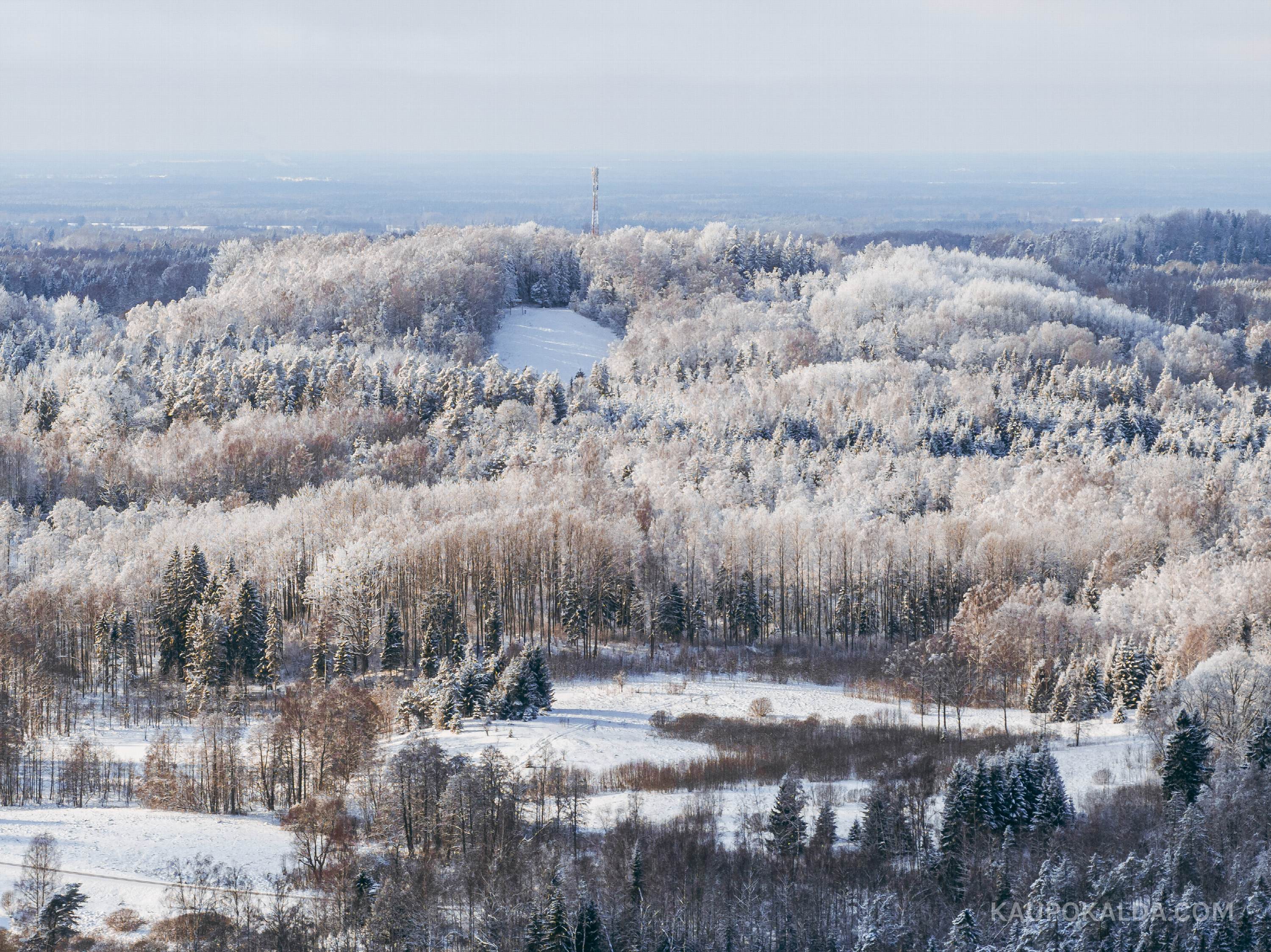 Kuutsemäe