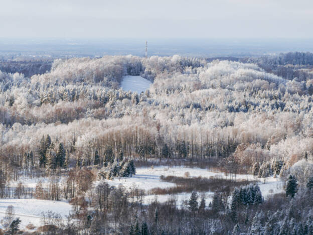 Kuutsemäe